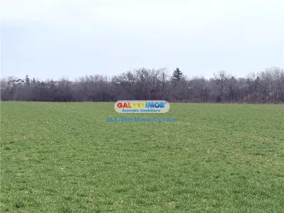 Vanzare teren intravilan Baicoi zona Ciresi - foto 5