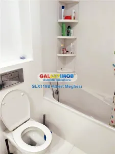 Inchiriere Apartament 3 camere Delea Veche - foto 9