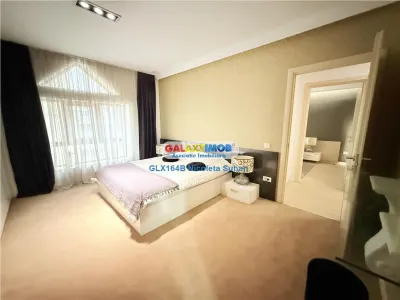 TRIPLEX /PENTHOUSE SPECTACULOS NORDULUI / PARC HERASTRAU - foto 6