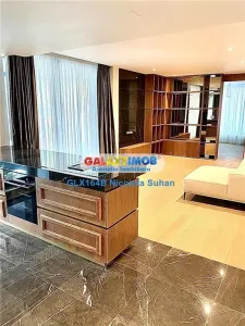 DUPLEX  SPECTACULOS PRIMAVERII -ONE CHARLES DE GAULLE - foto 2