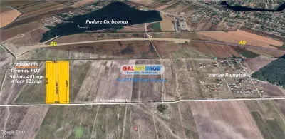 Teren 25000 mp Corbeanca str Floarea Soarelui cu PUZ Lotizat - foto 5