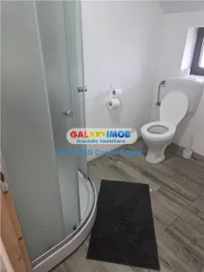 Inchiriem vila in Budeasa, mobilata si utilata - foto 3