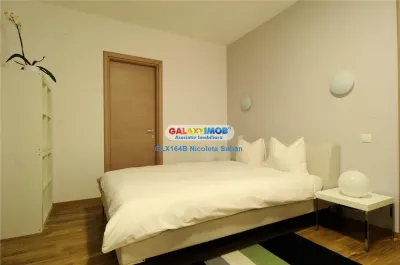 APARTAMENT 2 CAMERE BANEASA/PRIVIGHETORILOR/AMBASADA SUA - foto 7