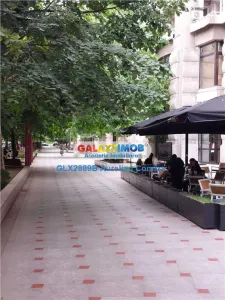 Garsoniera pentru inchiriat strada Traian/Bulevardul Unirii - foto 8
