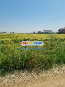 OPORTUNITATE INVESTITIE VANZARE TEREN INTRAVILAN 10000 MP BERCENI - foto 6