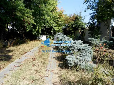 Sediu reprezentativ / Resedinta  / Vila singur curte in COTROCENI - foto 13