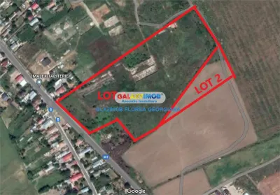 Ideal dezvoltare/posibilitate asociere - 38.000 mp Tanganu Cernica - foto 2