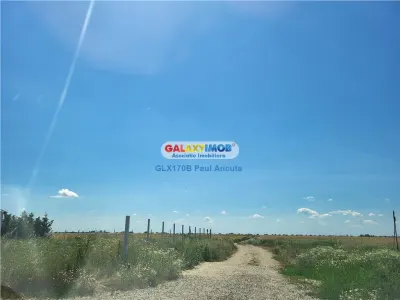 Teren Balotesti str Fantanii cu str Bisericii 1 Ha cu acces 44 m - foto 3