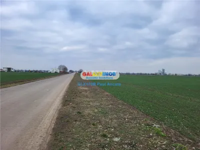 Teren Moara Vlasiei 65000 mp Industrial utilitati apropiere Nod A3 - foto 4