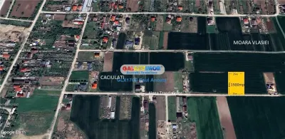 Teren Caciulati Moara Vlasiei 1500 mp lot casa acces rapid la A3 - Moara Vlasiei