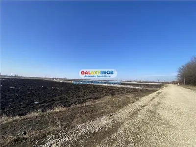 Vanzare teren intravilan Prahova Barcanesti Ghighiu - foto 2