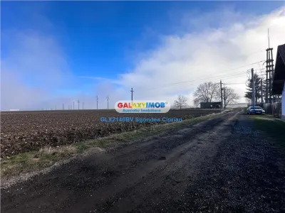 Teren Tohanu Vechi 5 km Bran 25 km Brasov - foto 6