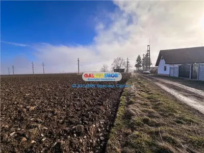 Teren Tohanu Vechi 5 km Bran 25 km Brasov - foto 8