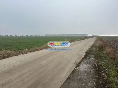 Teren la sosea Afumati Petrachioia 29500 mp pentru Industrial - Petrachioaia