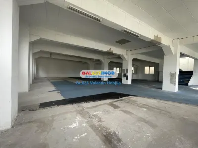 Inchiriere spatii Depozitare Productie Show Room Voluntari Dn2 Stradal - foto 3