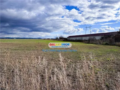Teren Halchiu 5000 mp cu utilitati si puz - foto 6