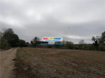 3 Loturi casa Ciolpani str Stadionului cu vedere la Padure - foto 3