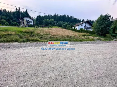 Teren Marginea Padurii Zarnesti cu toate utilitatile - foto 6