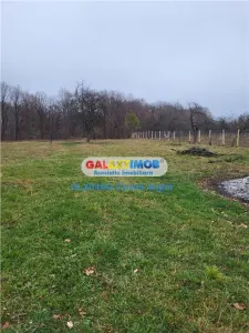 Teren intravilan 4770 mp cu casa in Lintesti , Arges - foto 12