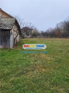Teren intravilan 4770 mp cu casa in Lintesti , Arges - foto 10