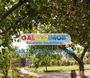 Murighiol-Delta Dunarii pensiune si teren la Canal - foto 2