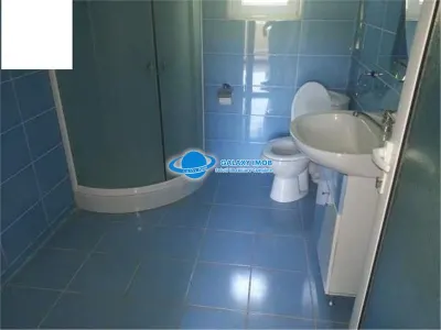 De inchiriat / vanzare vila in Stefanesti  la cheie - foto 7
