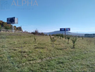 Teren intravilan 12.300 mp – oportunitate investitie industriala/comerciala –BN, Crainimăt, DN17 / E58 - foto 6