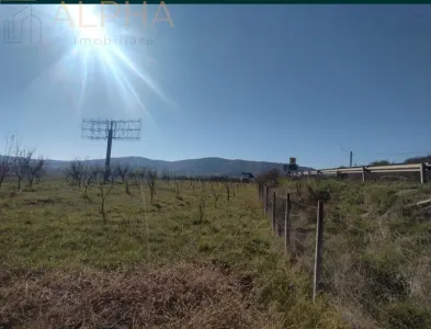 Teren intravilan 12.300 mp – oportunitate investitie industriala/comerciala –BN, Crainimăt, DN17 / E58 - foto 8