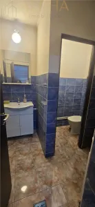 Hala industriala de vanzare sau inchiriere - Livezile, BN - foto 14