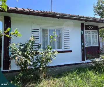 Teren intravilan - 1.248 mp + casa batraneasca 60 mp | Paun  Barnova | 60.000 € - foto 3