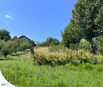 Teren intravilan - 1.248 mp + casa batraneasca 60 mp | Paun  Barnova | 60.000 € - foto 7