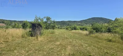 Casa cu teren 5900 mp str. Ghinzii sub padure - foto 7