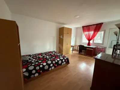 Apartament 1 camera in Podul de Fier Tg Cucu - Iasi