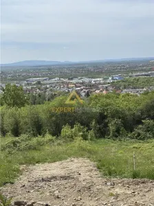 Teren cu priveliste spre oras, Miron Costin - foto 2