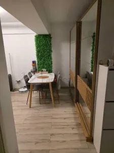 Apartament doua camere Theodor Pallady 2017 - foto 5