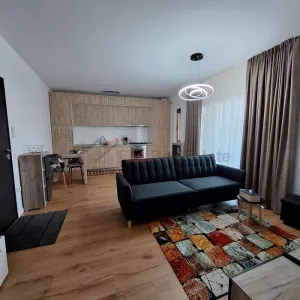 Apartament 2 camere zona rezidentiala Tunari - foto 8