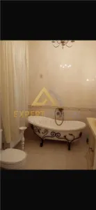 Casa boiereasca Centrul Vechi Baia Mare cu spatiu comercial la parter inchiriat cu 600 euro/luna - foto 15