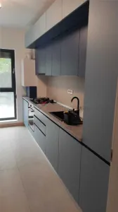 Apartament 2 camere, zona Lujerului - foto 6