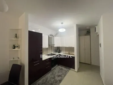 Inchiriere Apartament 2 Camere Piata Muncii - foto 5