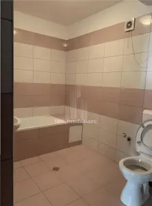 Inchiriere Apartament 2 Camere Ozana Nemobilat - foto 6