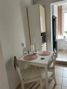 Inchiriere Apartament 2 Camere Nicolae Grigorescu - foto 14
