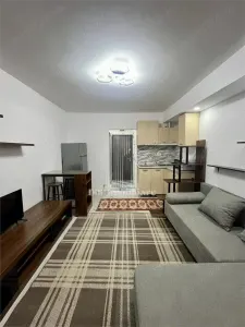Inchiriere Studio 1 Decembrie  | Ozana | - foto 8