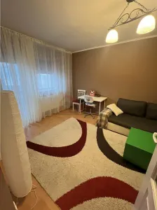 Apartament 2 camere PIATA MUNCII - foto 2
