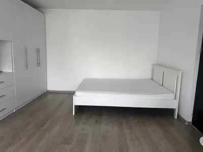 Inchiriere Garsoniera Mall Vitan | Pet friendly - foto 5