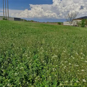 Teren de vanzare in Sanicoara in zona cu destinatie industriala - foto 2