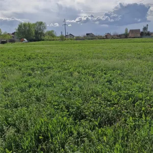 Teren de vanzare in Sanicoara - destinatie industriala - foto 6