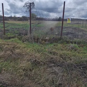 Terenuri de vanzare cu PUZ in Salistea Veche - foto 3