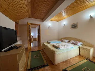 Refugiu de vis in Busteni – casa cocheta cu teren generos si priveliste spectaculoasa - foto 13