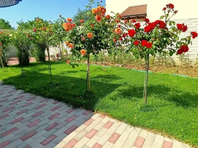 Casa individuala de lux in Giroc, poziție excelentă, comision 0 %, o casă care merită văzută ! - foto 7