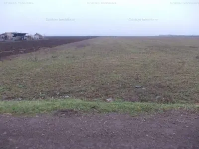 Teren 5750mp pentru constructii, zona Lacu Sarat - foto 3